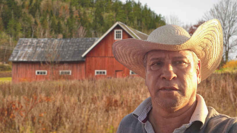 Produtividade com propósito: Ricardo Chimirri Candia destaca o papel da ergonomia tecnológica no bem-estar e desempenho das equipes.
